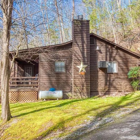 Bear Den, Hot Tub, 1089 Of Free Attraction Tickets For Each Paid Day, Dollywood And More! Sevierville Kültér fotó