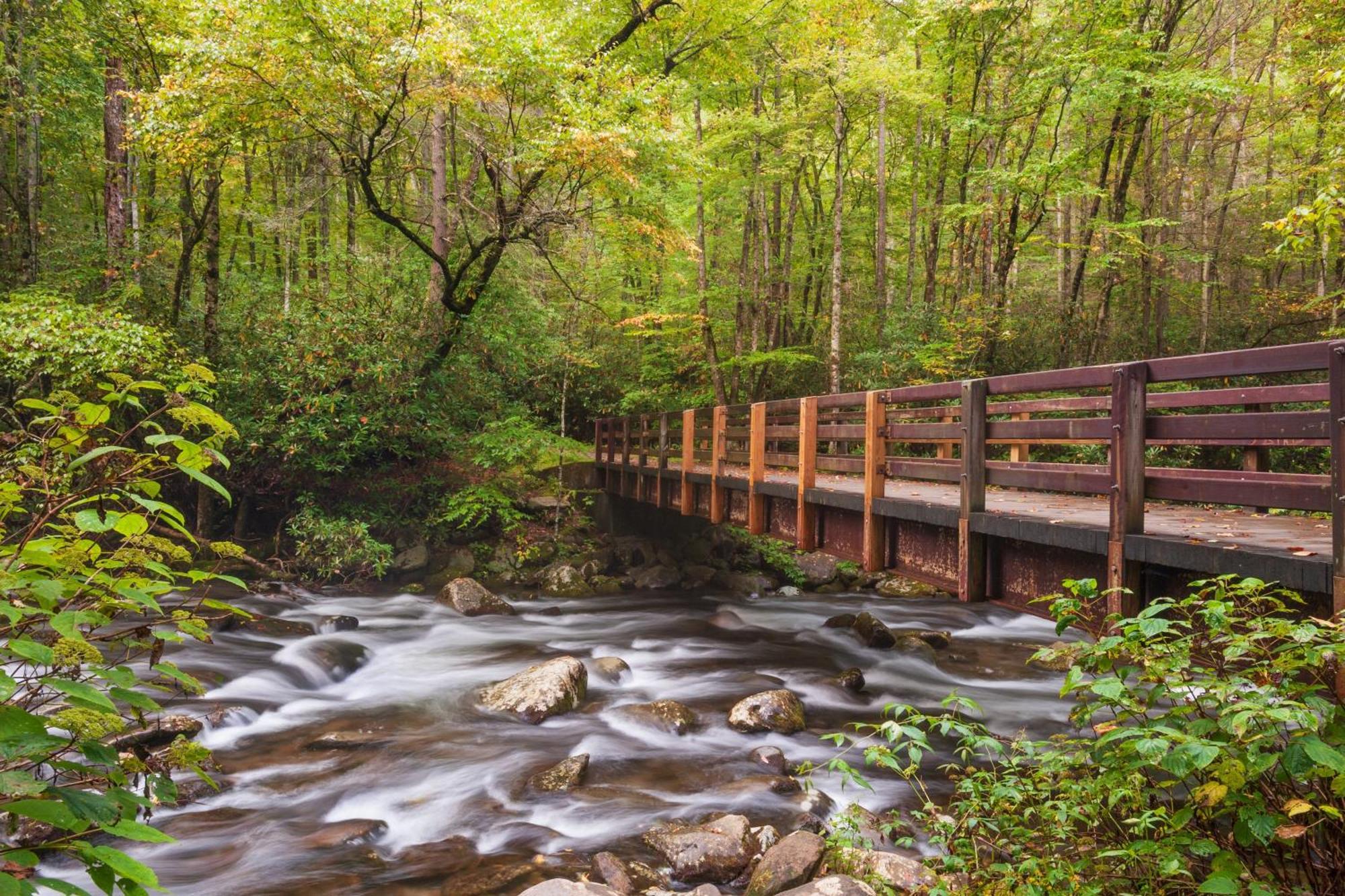 Bear Den, Hot Tub, 1089 Of Free Attraction Tickets For Each Paid Day, Dollywood And More! Sevierville Kültér fotó