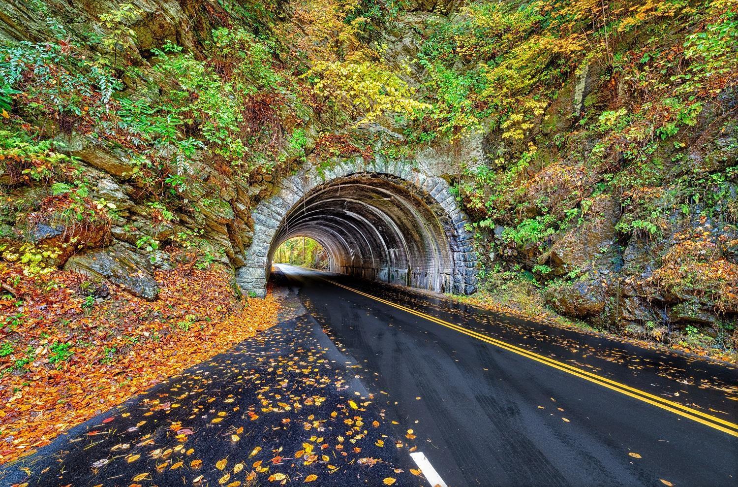 Bear Den, Hot Tub, 1089 Of Free Attraction Tickets For Each Paid Day, Dollywood And More! Sevierville Kültér fotó